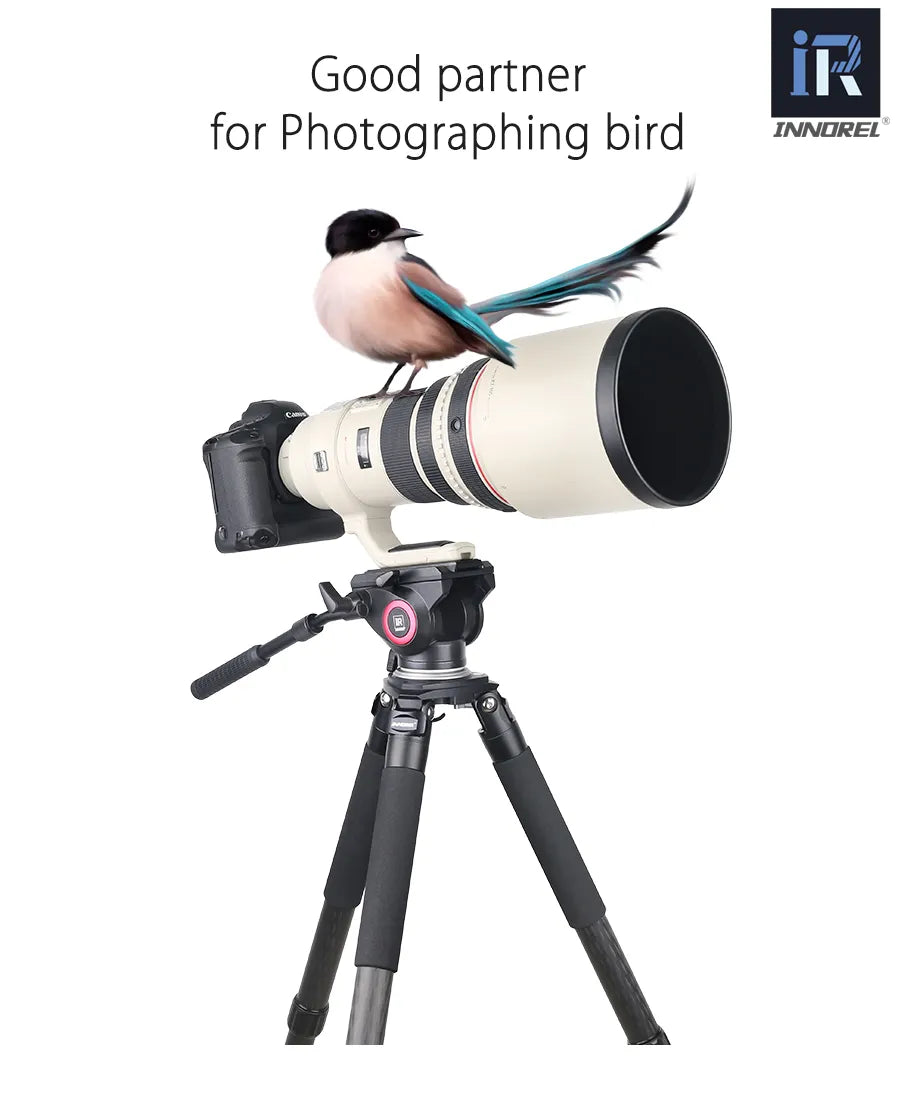 LT364C Luxury 10 Layers Carbon Fiber Tripod for Camera