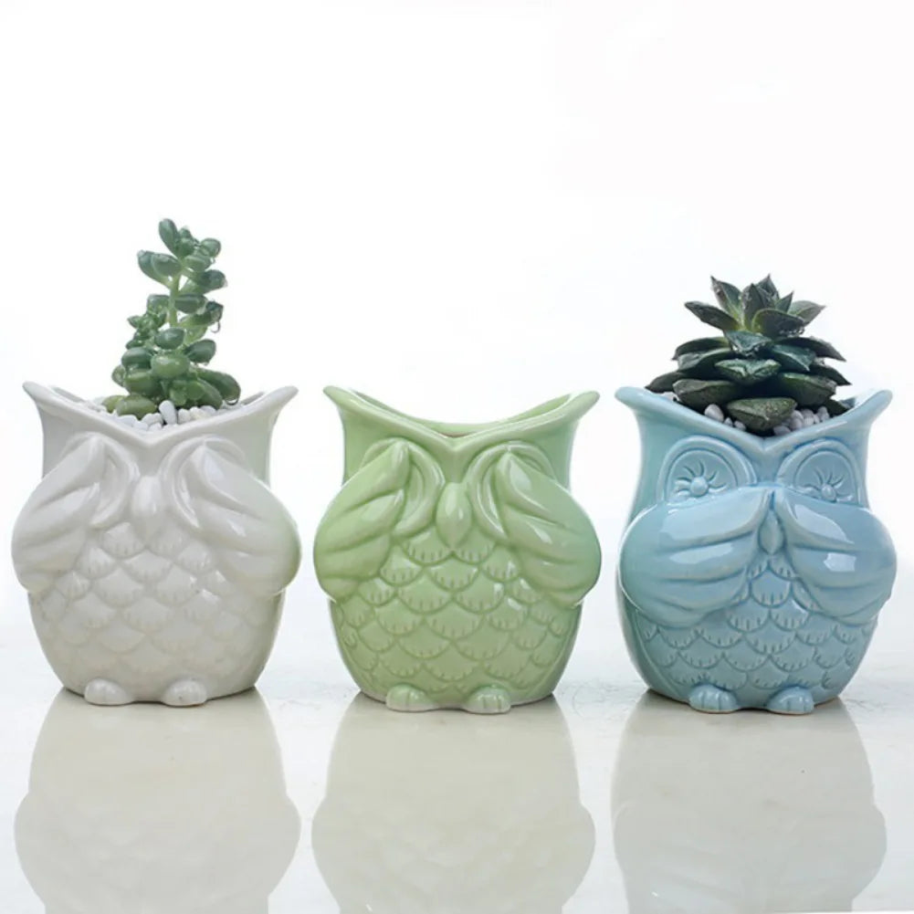 Cute Owl Shaped Flowerpot