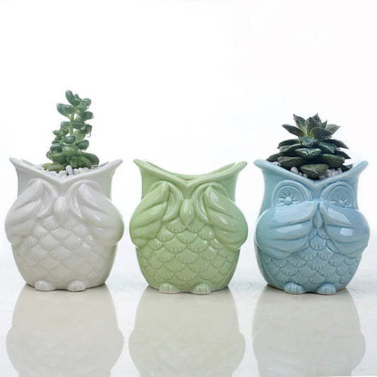 Cute Owl Shaped Flowerpot