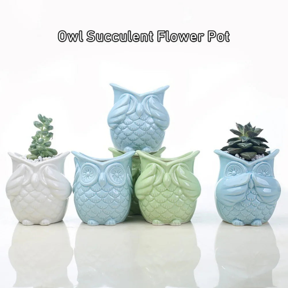 Cute Owl Shaped Flowerpot