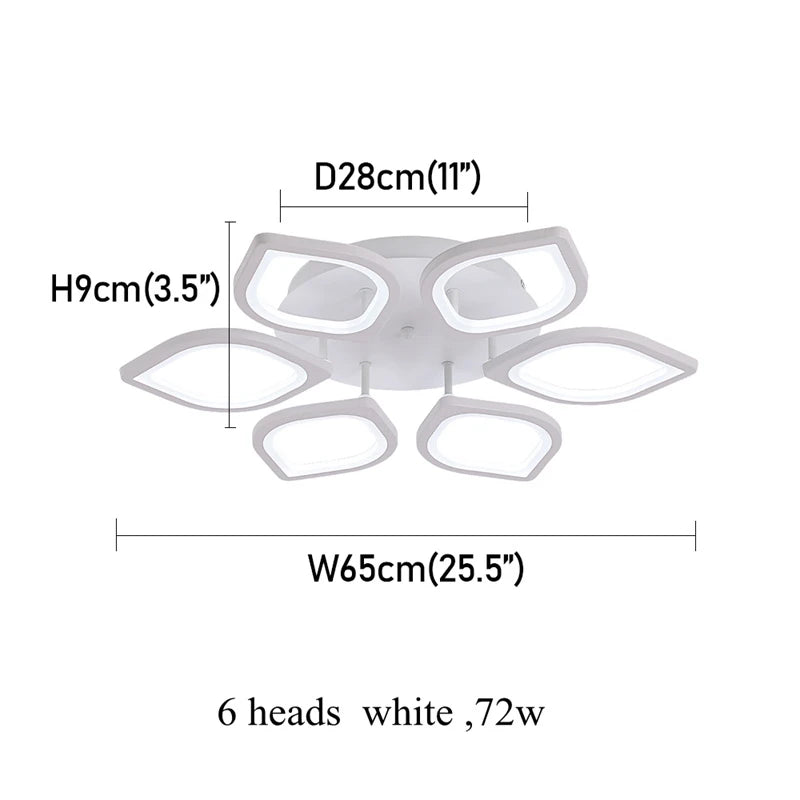 47727504523573|47727504556341|47727504589109