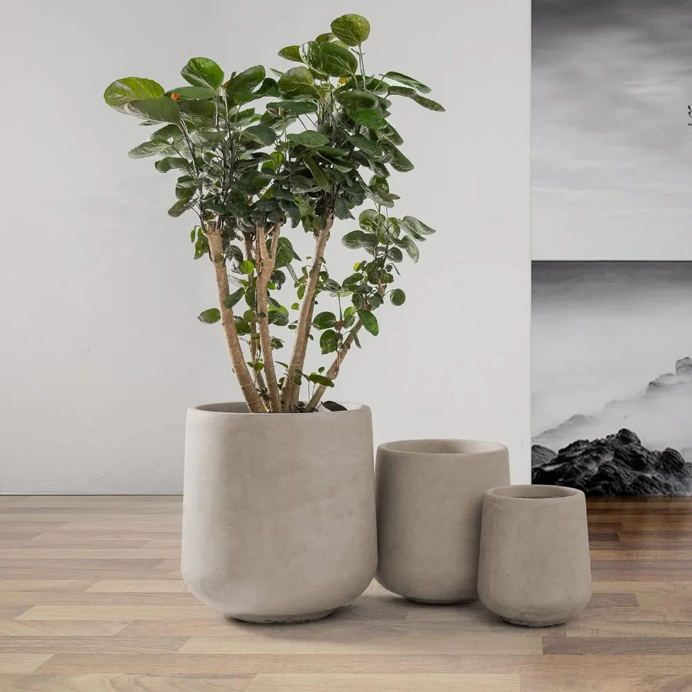 Large Concrete Pot