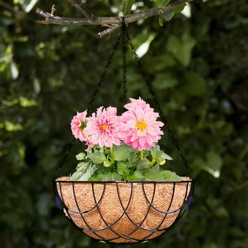 Hanging Round Wire Plant Holder